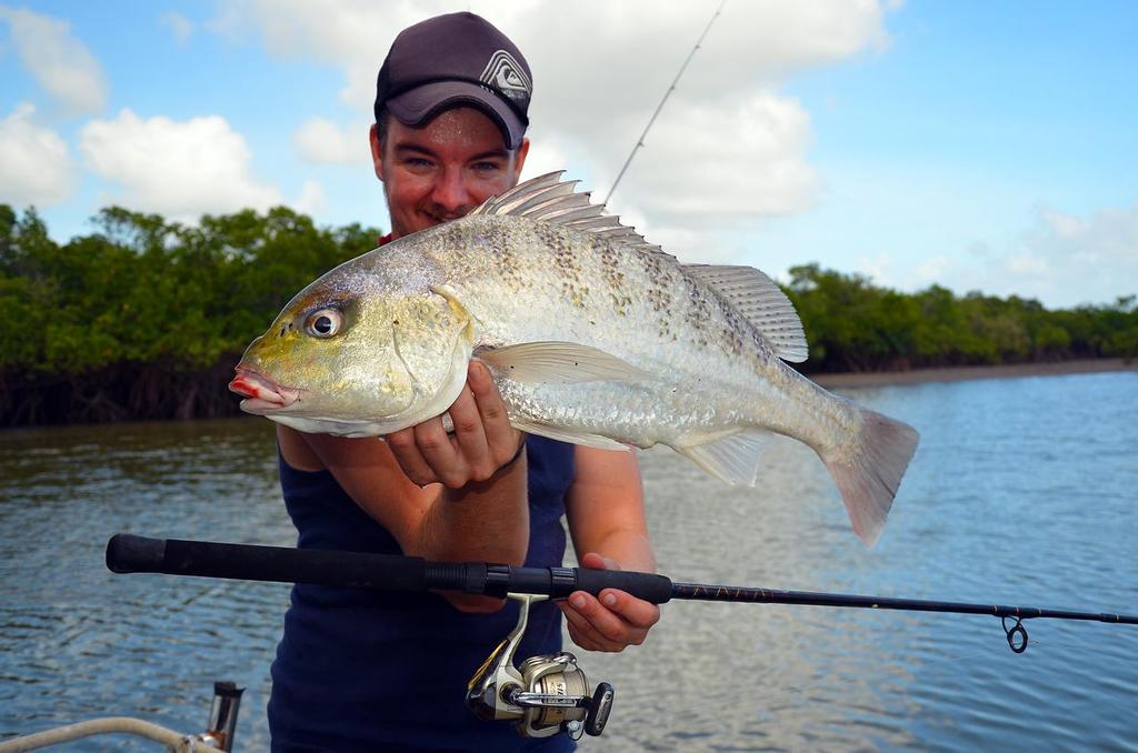 The area is fairly well known for its grunter (javelin fish) through the cooler months.  These fish will take fresh baits or soft plastics and put up a dogged fight! © Lee Brake